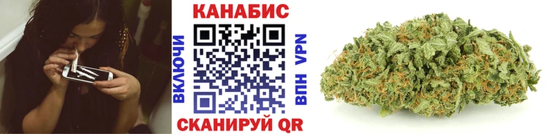 Где купить Чадан Галлюциногенные грибы  Меф 