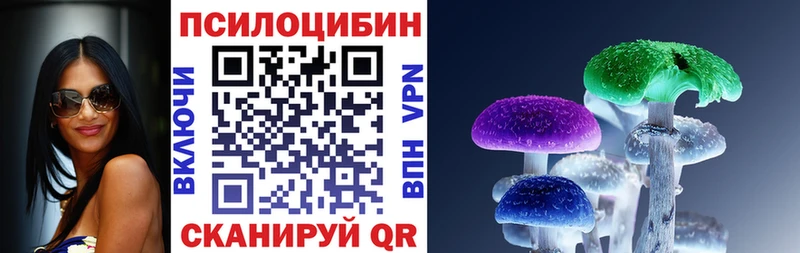 Псилоцибиновые грибы Psilocybe  hydra зеркало  Чадан  купить наркотик 